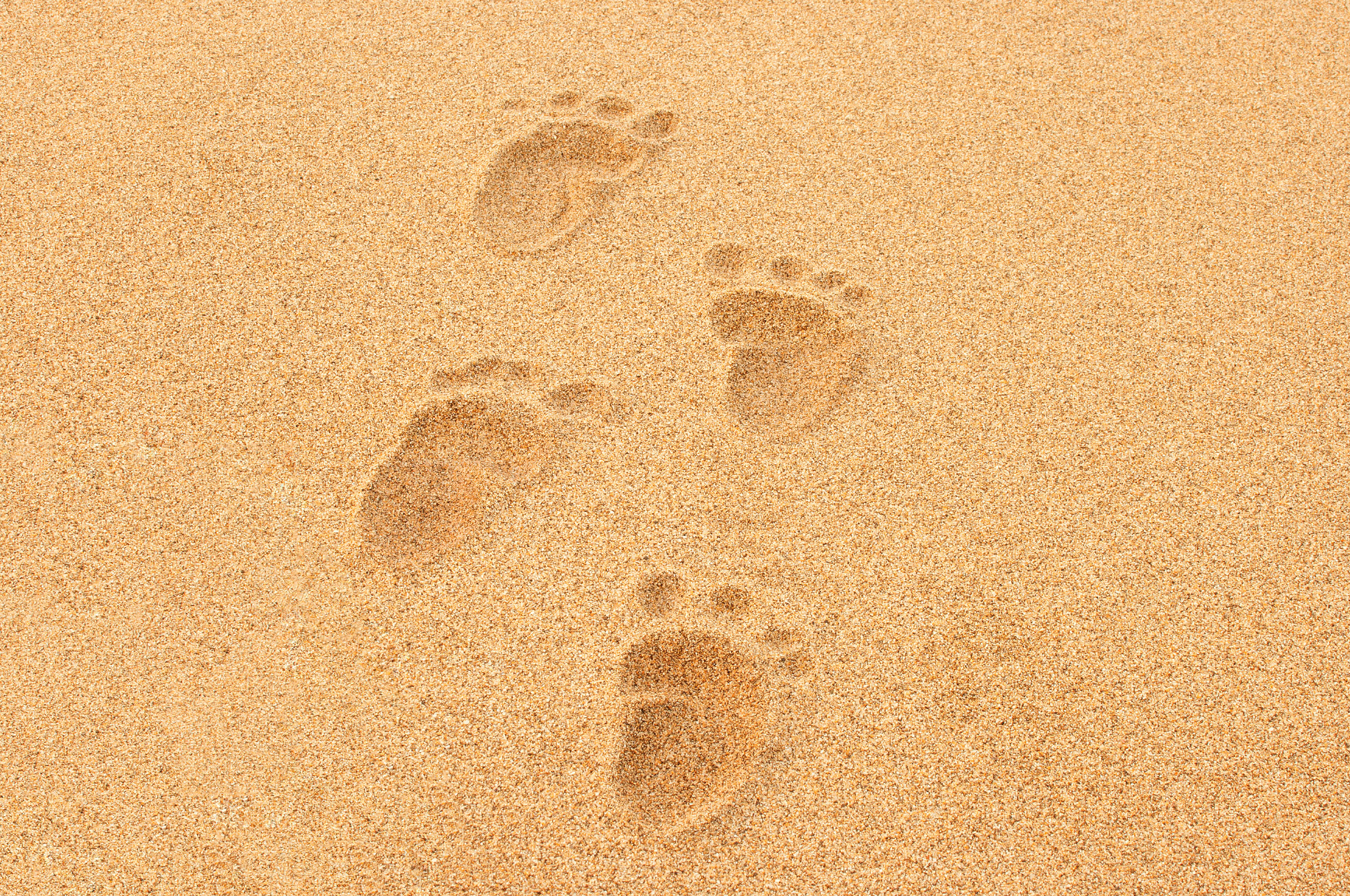 Spuren im Sand