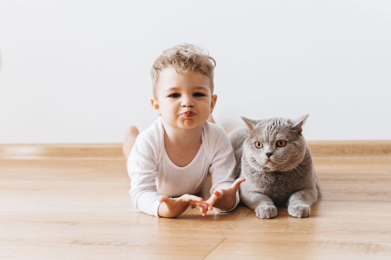 Kleinkind mit Katze